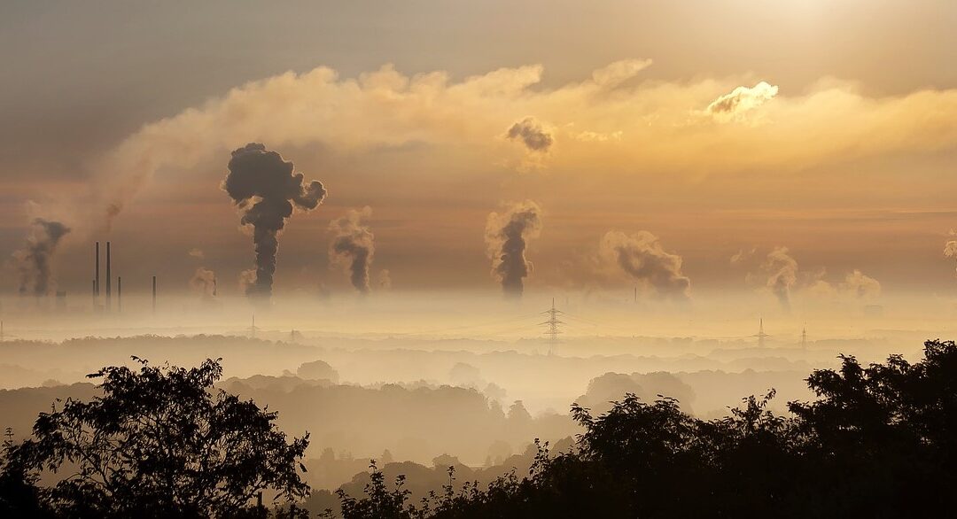 El cambio climático ya está aquí ¿Qué podemos ganar aceptándolo?